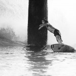 Dave Rastovich surfing India