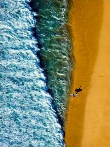 surfer at shoreline