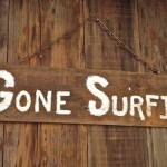 gone surfing