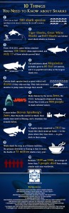 shark week infographic